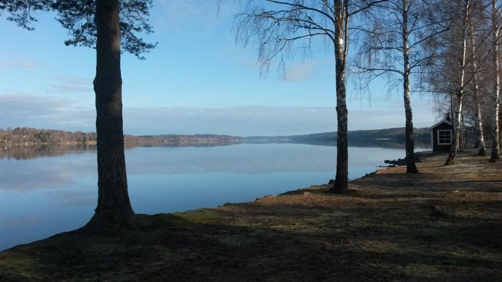 Skoena Rum Fryksta Чиль Номер фото
